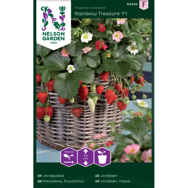 Jordbær 'Rainbow Treasure'