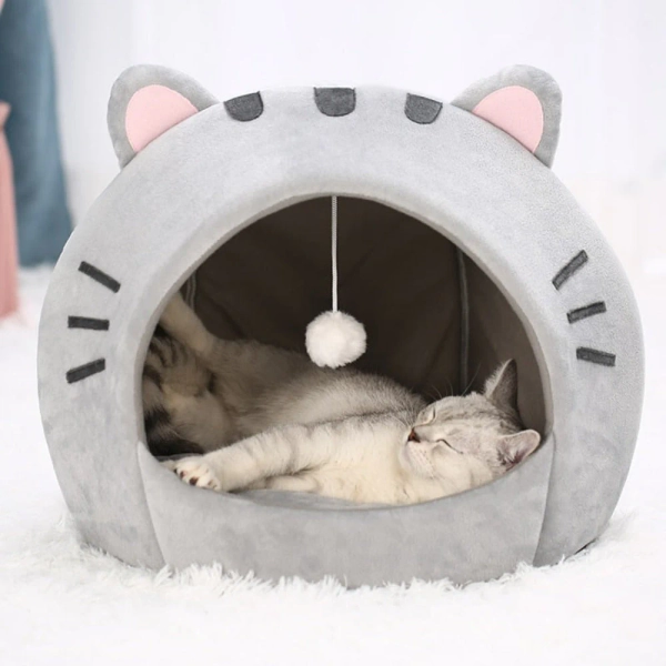 Adorable Cat Mouth Theme Pet House