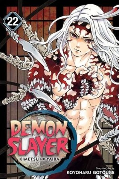 Demon Slayer: Kimetsu no Yaiba, Vol. 22
