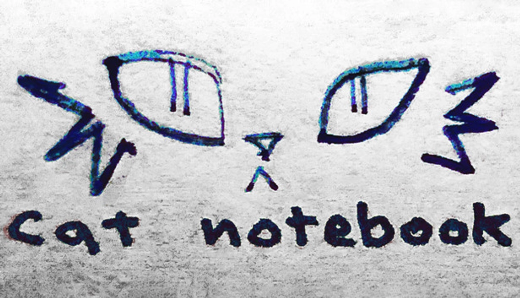 cat notebook on Steam