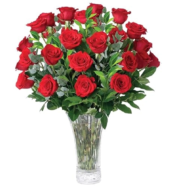 Aquarossa Farms - Red Roses Flowers Fresh Bouquet, Fresh Flowers for Delivery, 24 Fresh Cut Stems