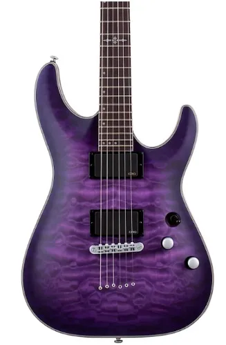 Schecter Guitar