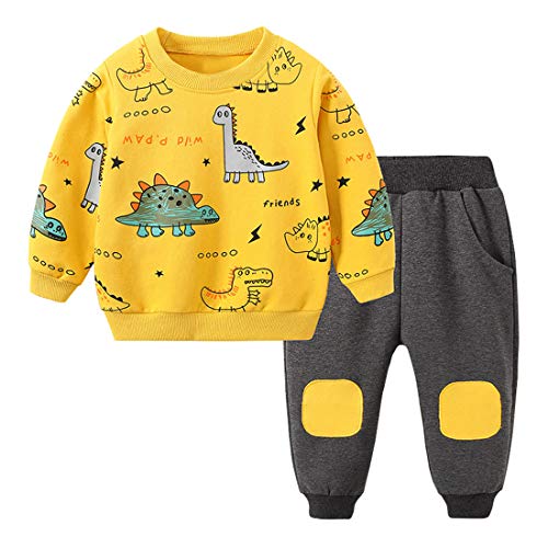 Toddler Baby Boy Clothing Sets Little Dinosaur Printed Long Sleeve Tops and Pants Kids 2pcs Outfits - 2-3T 2-blue
