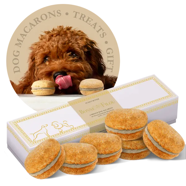 Box of 6 Dog Macarons | Peanut Butter