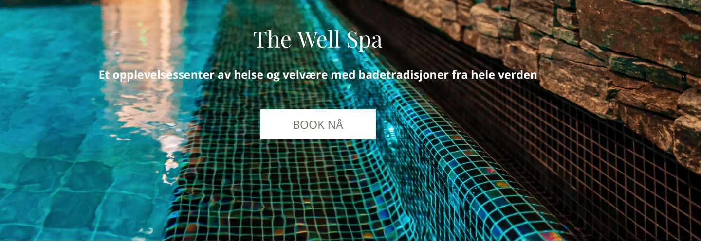 The Well spa experience