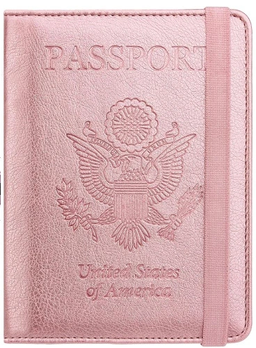 Passport Application Fees