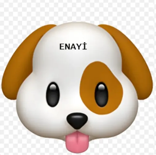 "Ben aptal bir enayiyim"