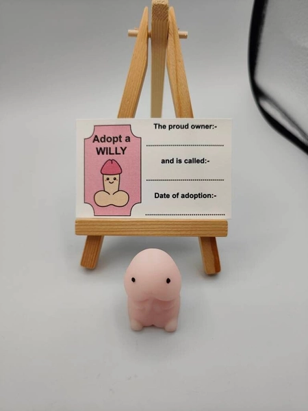 Adopt A Willy, Stress Relief Toy, Pink Pecker, Novelty, Fun, Gag Gifts, Hen Favors, Favours, Joke, Hen Party Favors Favours, Bride Party