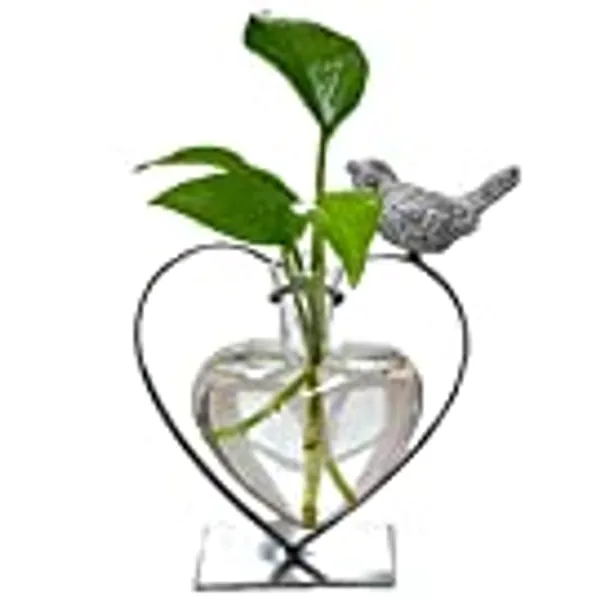 Marbrasse Desktop Glass Vase, Creative Bird with Heart Planter Vase, Glass Vases for Plants, Plant Terrarium Stand for Modern Office Home Decorations