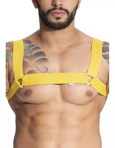 Harness