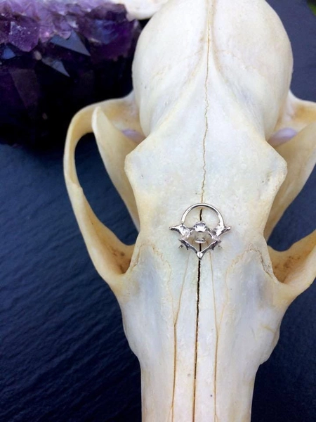 VERTABRAE SEPTUM RING ** Sans ternissement et hypoallergénique