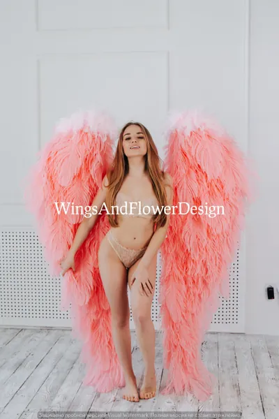 Pink Wings