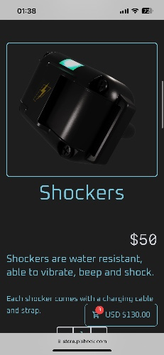 Shock collar for bunni 