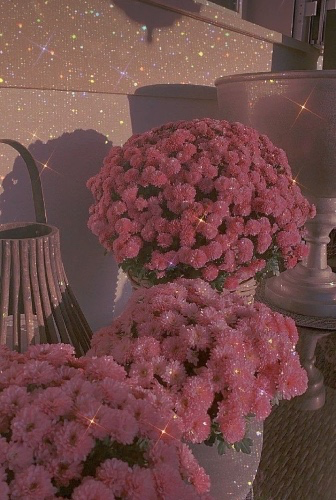 Dinner