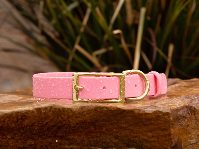 BioThane® Waterproof Buckle Dog Collar - Pastel Pink