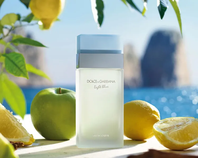 Dolce & Gabbana: Light Blue for Women EDT, 3.4oz