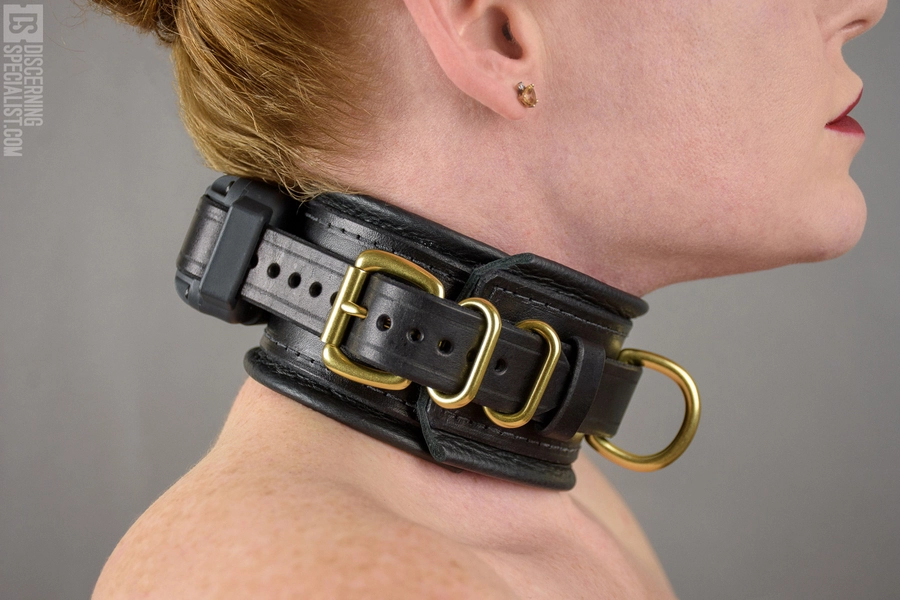 Obedience BDSM Shock Collar (Discerning Specialist)