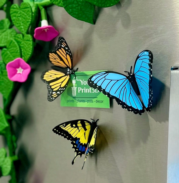 Butterfly Fridge Magnets