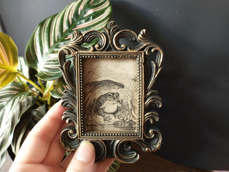 Vintage Happy Frog Print in Baroque Frame - Antique Funny Frog Art Framed In Mini Rectangular Scrollwork Frame