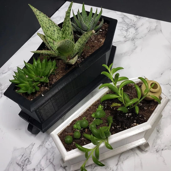 Black or White Coffin Mini Goth Succulent Flower Planter