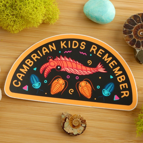 Cambrian Kids Remember Sticker / Cambrian Period / Anomalocaris / Trilobite / Paleontology / Vinyl Sticker