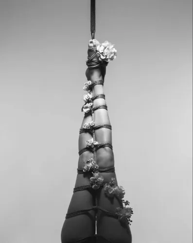 Attention Sissy Sl*t