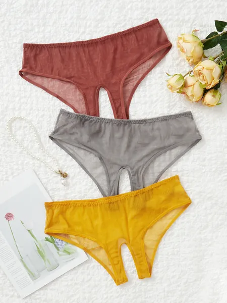 Sheer Mesh Crotchless Panties