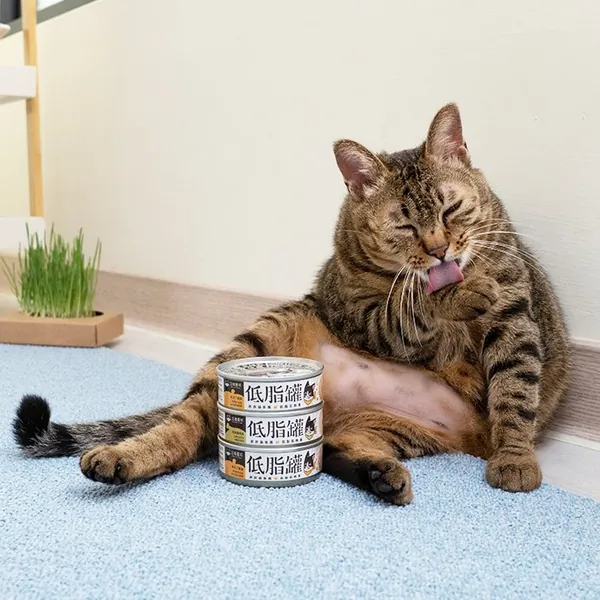 貓咪低脂無膠主食罐 80g | 讓需要控制體重的貓咪也能吃飽飽！- 汪喵星球