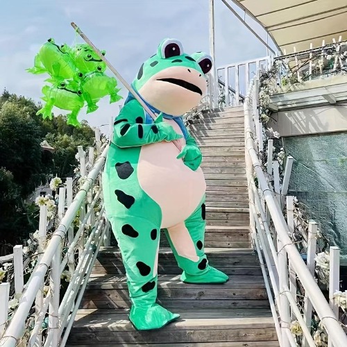 Inflatable Frog Costume - TikTok Shop