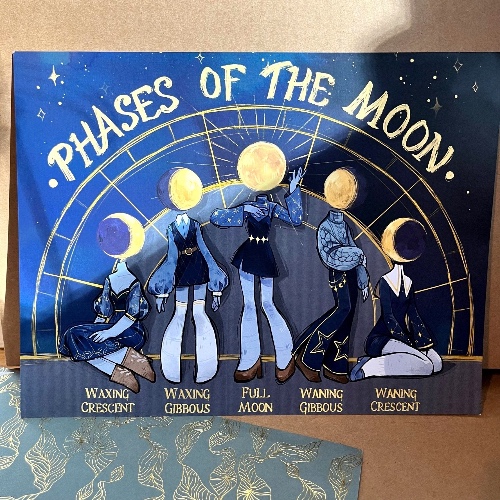 Phases of the Moon Print | Default Title