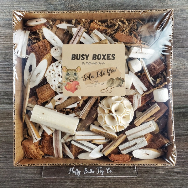 Busy Box #2 - &quot;Sola Into You&quot; - Activity Box for Chinchillas, Bunnies, Rabbits, Parrots, Etc.