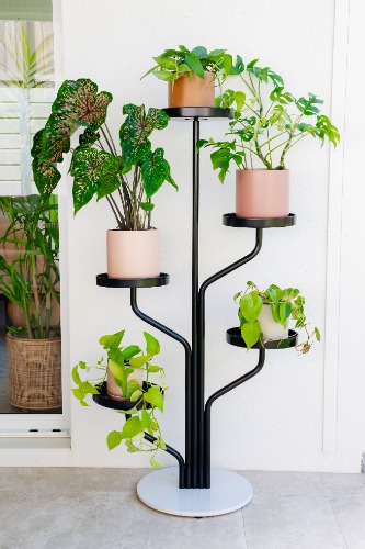 Marley Luxe 5 Tier Plant Stand - Black | Default Title