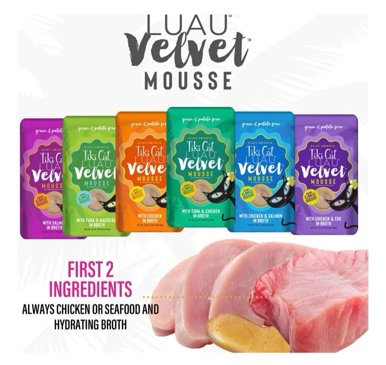 Star 🌟🐱 food ❤️