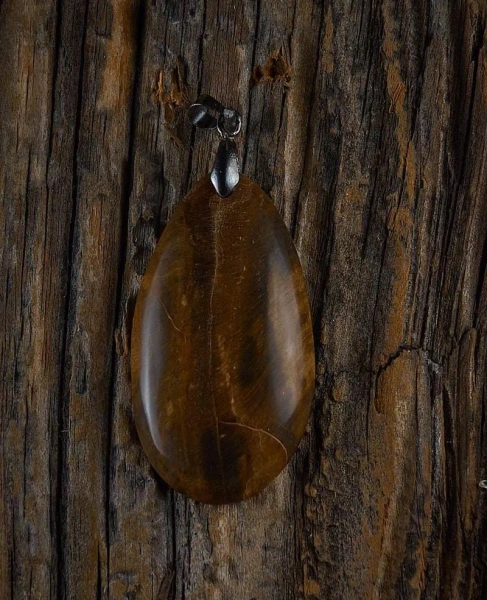 Magical and Unique Petrified Wood Pendant - Wear a Piece of Fossilized Earth on You!