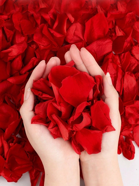 100/1000/2000/3000pcs Artificial Rose Petals,Romantic Handmade Flowers,Suitable For Wedding Party Room Layout Home Decoration,Birthday Decoration,Table Centerpieces,Valentine's Day Gift