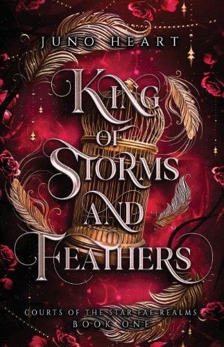 King of Storms and Feathers: A Fae Fantasy Bully Romance