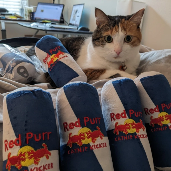 Redpurr: Organic Catnip Infused Cat Toy Kicker Kitten Baby Fun Redbull Parody Embroidered Gift for Cat - Etsy