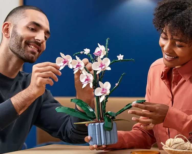 Botanical Collection Orchid