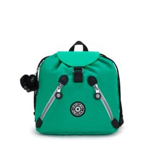 Kipling Bag