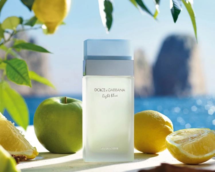 Dolce & Gabbana: Light Blue EDT Spray for Women, 6.7oz