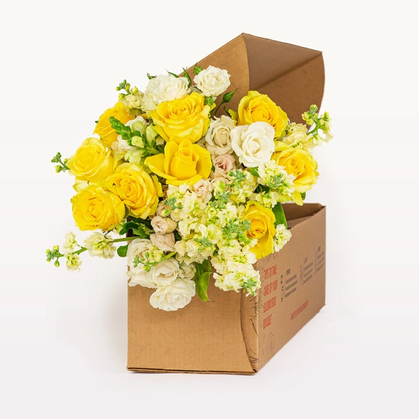 Pet-Safe Blooms - Month to Month