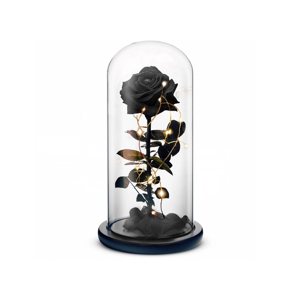 Beauty and The Beast Rose (Black)