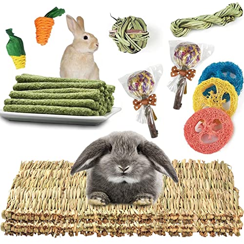 2 Pcs Grass Mat for Rabbit with Various Bunny Chew Toy Natural Woven Bed Mat Molar Teeth Grinding Toys for Guinea Pig Chinchilla Squirrel Hamster and Small Animal