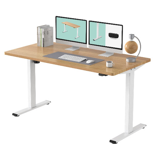 FLEXISPOT EC1 Electric Standing Desk