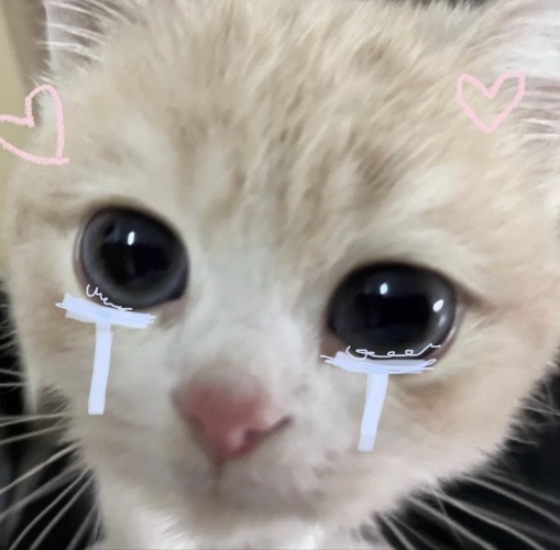 Petite offrande 😴