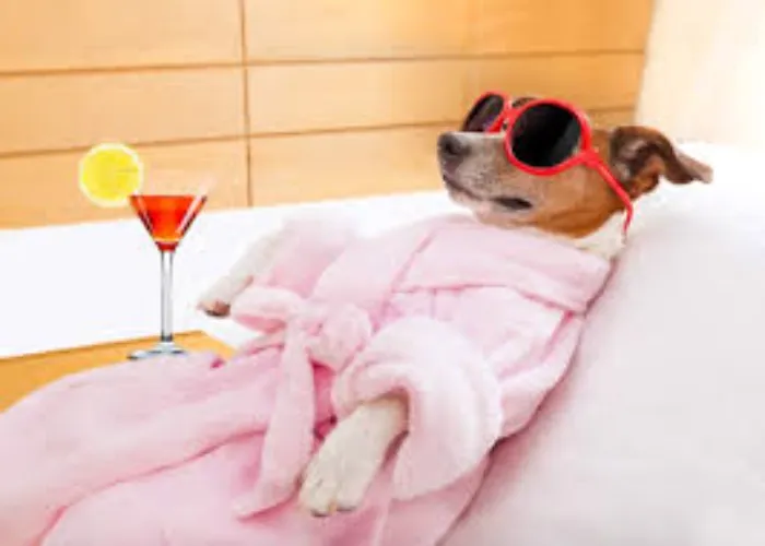 Spa Day 
