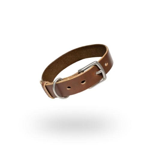 The Dog Collar - Brown / Nickel Matte / Medium