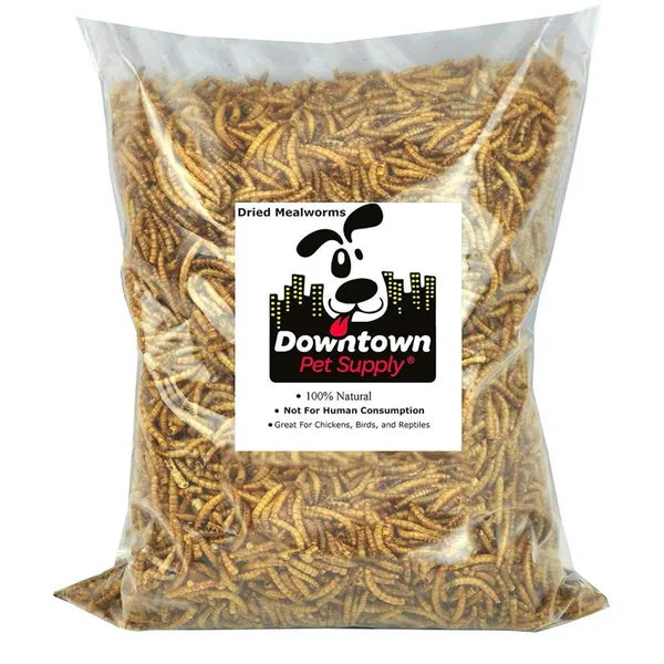 Downtown Pet Supply Dried Mealworms - Rich in Vitamin B12, B5, Protein, Fiber and Omega 3 Fatty Acids - Chicken, Duck and Bird Food - Reptile and Turtle Food - 1/2 LB