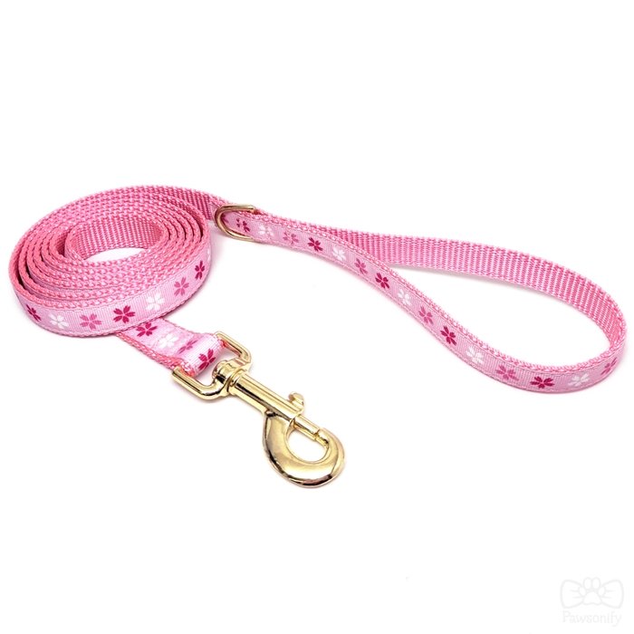 Cherry Blossom Leash - 3/4 in. x 6 ft.