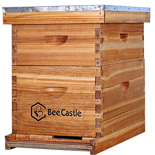 BeeCastle 10-Frames Complete Beehive Kit, 100% Beeswax Coated Bee Hive Includes Beehive Frames and Beeswax Coated Foundation Sheet (2 Layer)